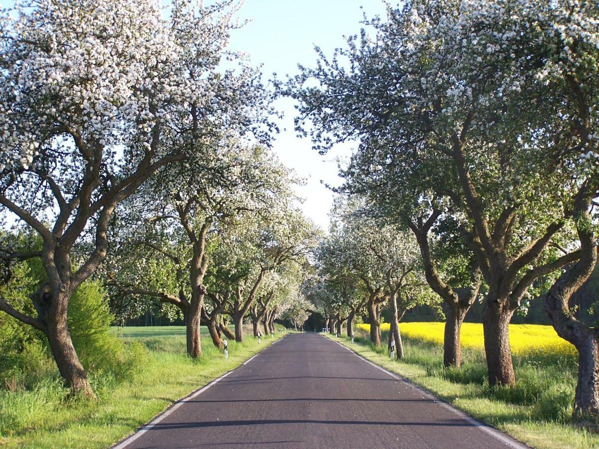 Ferien In Himmelpfort Εξωτερικό φωτογραφία